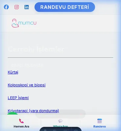 2009 H1N1 enfeksiyonu (Domuz Gribi)