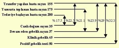 Büyüme grafikleri