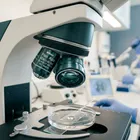 Tüp Bebek & İnfertilite